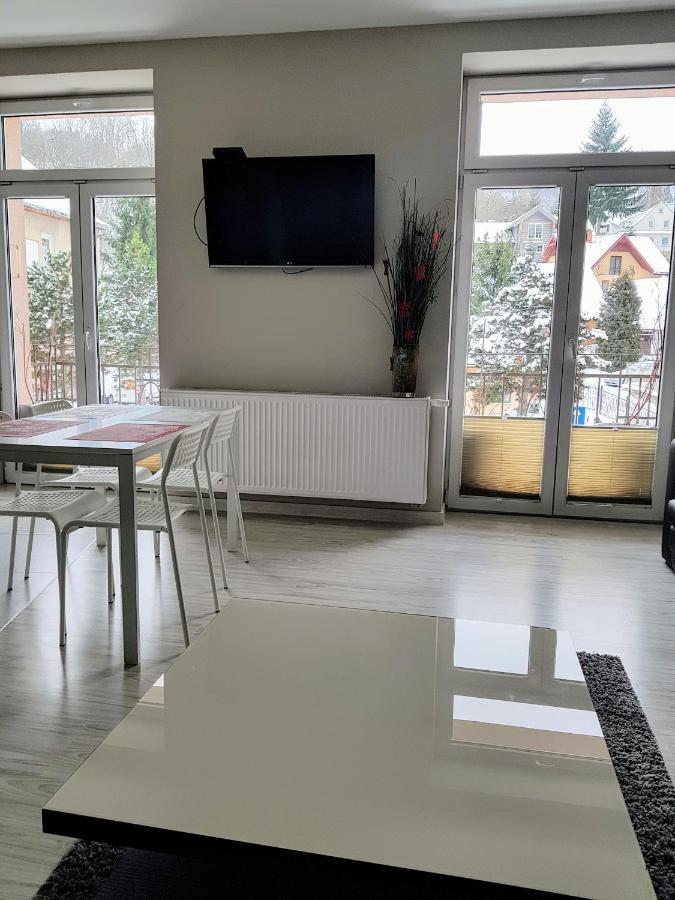 Apartament Kraszewskiego 35 Apartment *