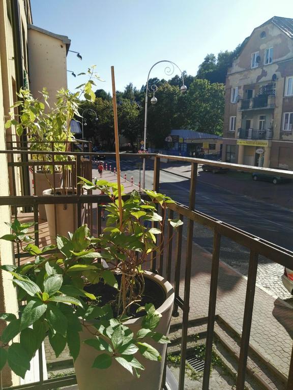 Apartament Kraszewskiego 35 Apartment *