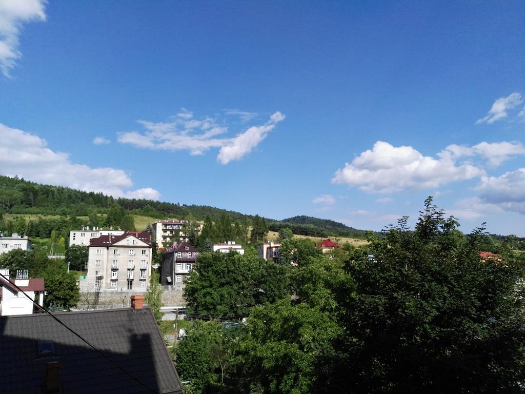 Апартаменти Kraszewskiego 35